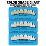 color-shade-chart-for-website